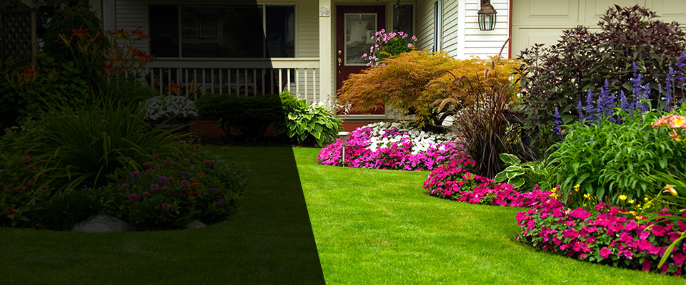 La Marque Landscapers