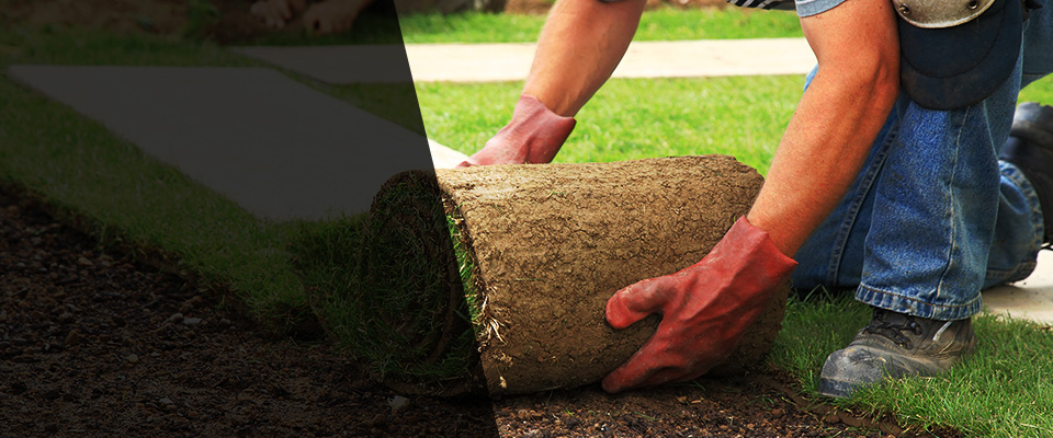 La Marque Landscapers
